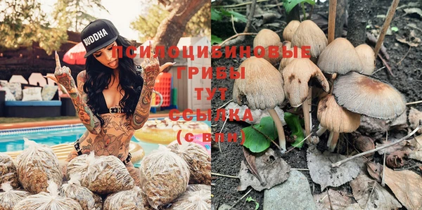 герыч Абинск
