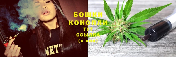 шишки Рославль