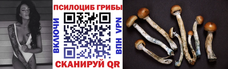 Галлюциногенные грибы мухоморы  Апшеронск 